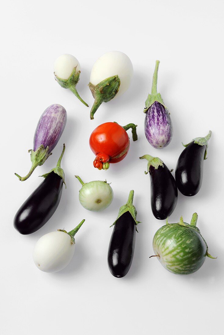 Various types of aubergines