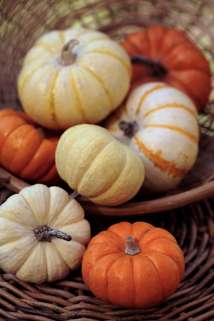 Assorted ornamental gourds in basket