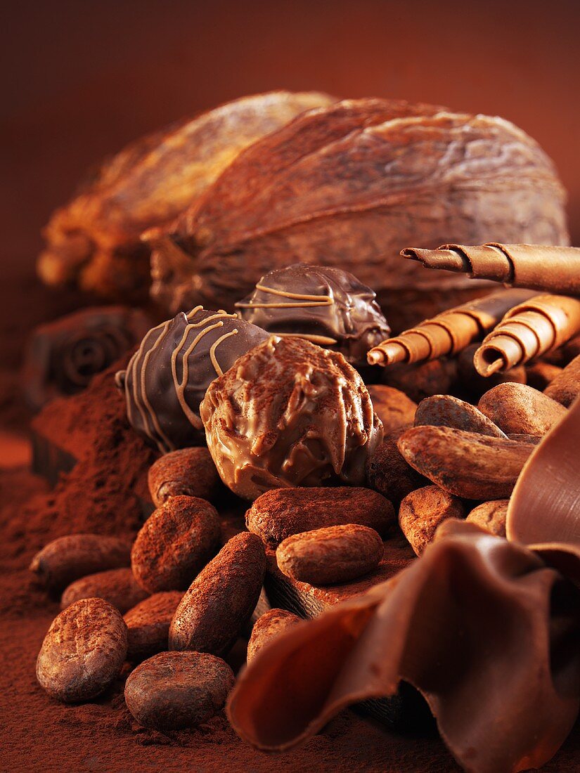 Schokoladenpralinen, Kakaobohnen, Schokoröllchen und Kakaofrüchte
