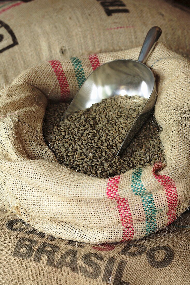 Coffee beans in jute sack with scoop