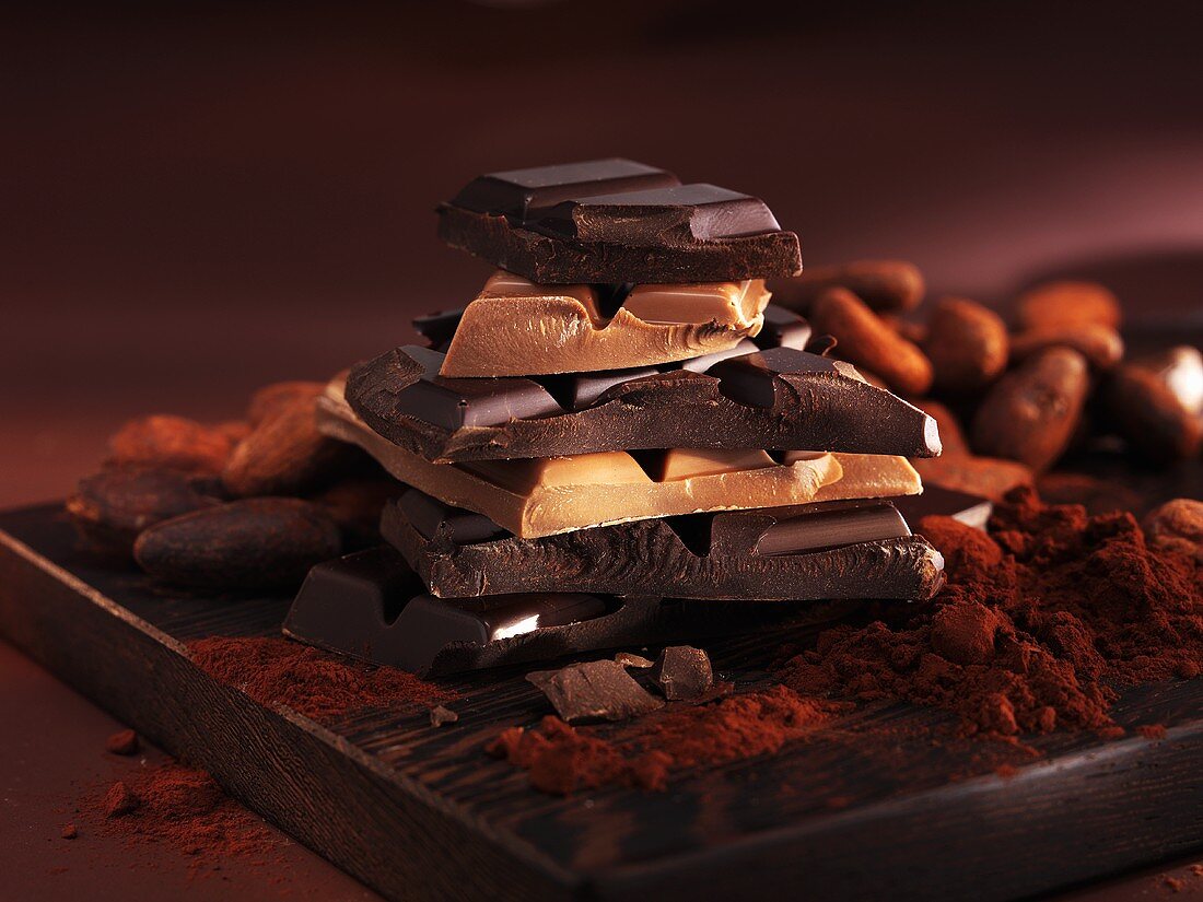 Pieces of chocolate, cocoa powder and cocoa beans