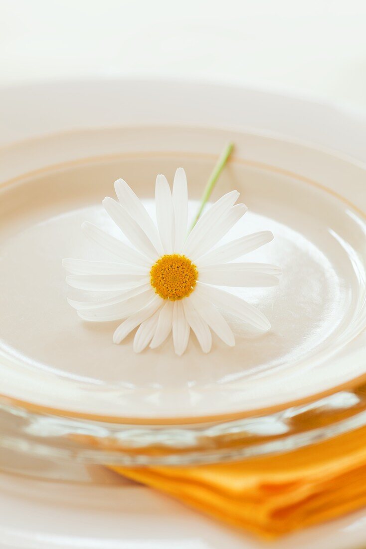 Place-setting with marguerite