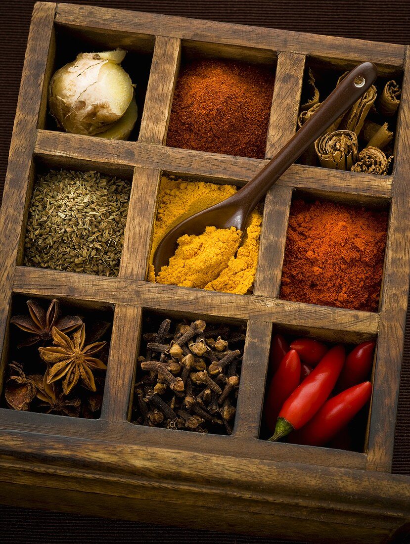 Assorted spices in type case