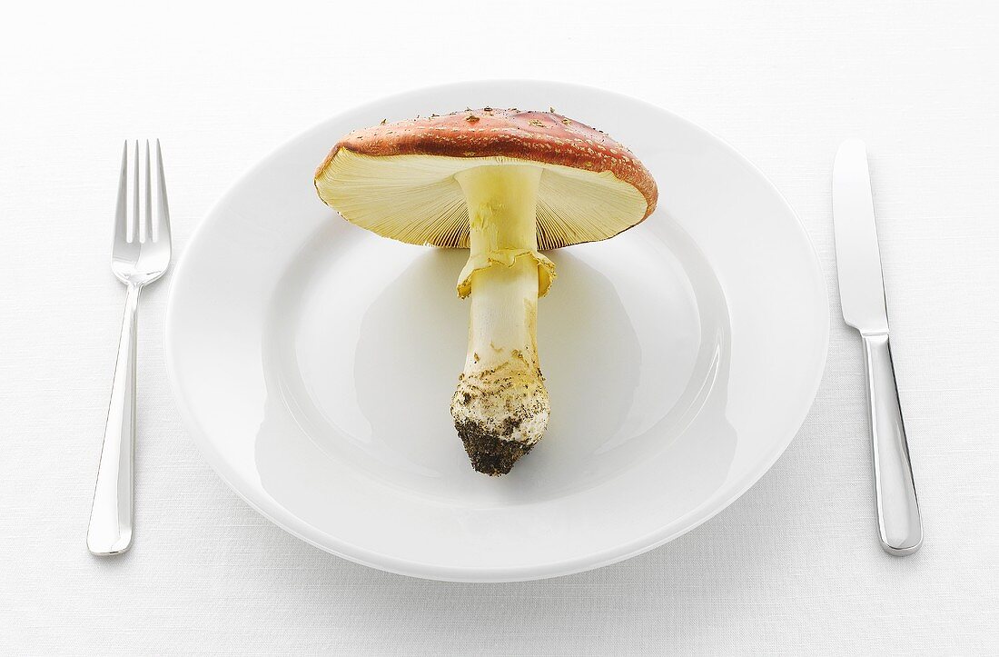 A fly agaric toadstool on white plate