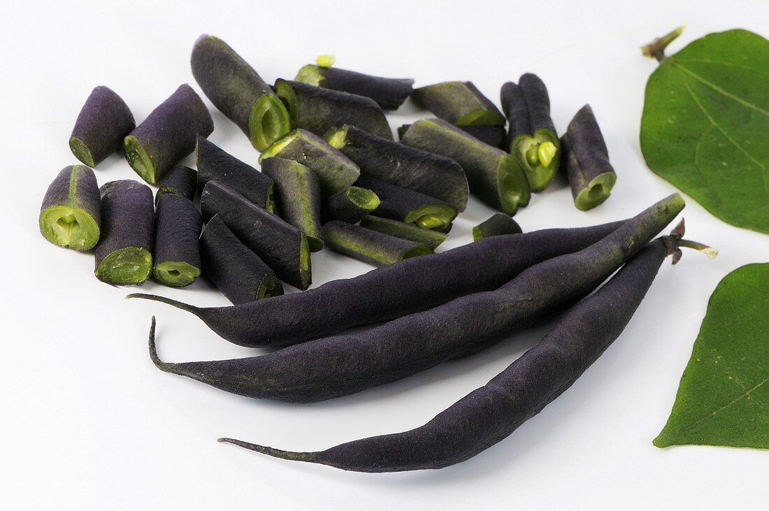 Violette Buschbohnen (Sorte Purple Teepee) mit Blatt