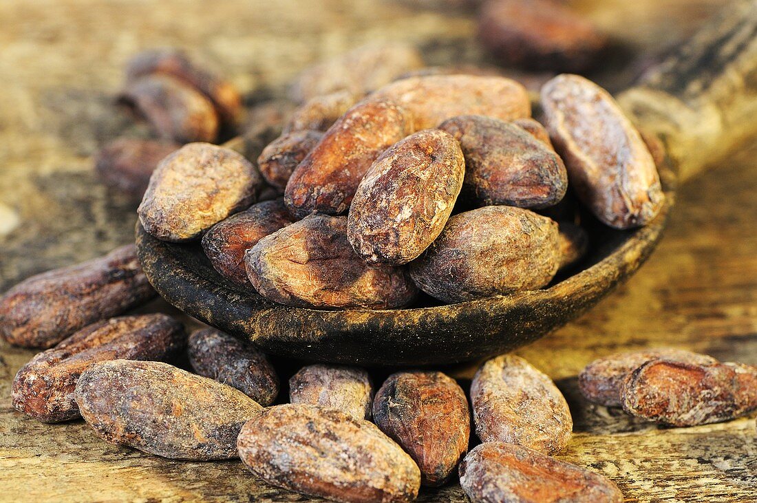 Kakaobohnen auf Holzlöffel und daneben (Nahaufnahme)