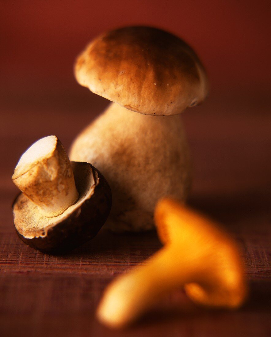 Ceps and chanterelle