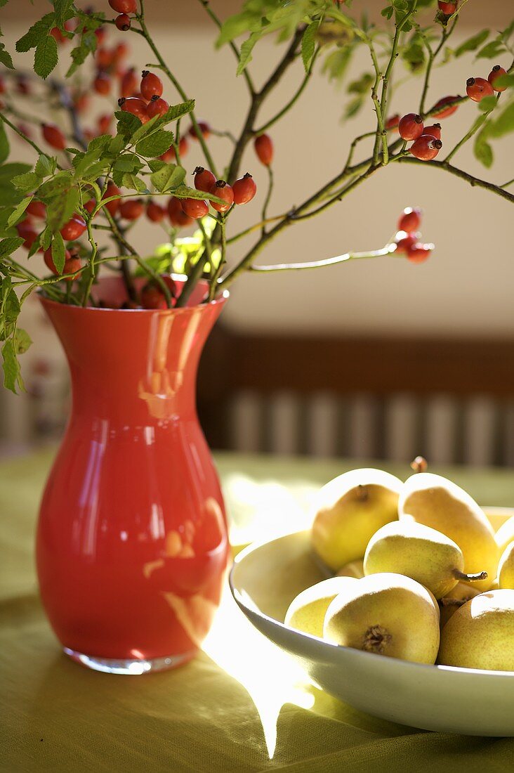 Vase of rose hips and dish of pears on a table