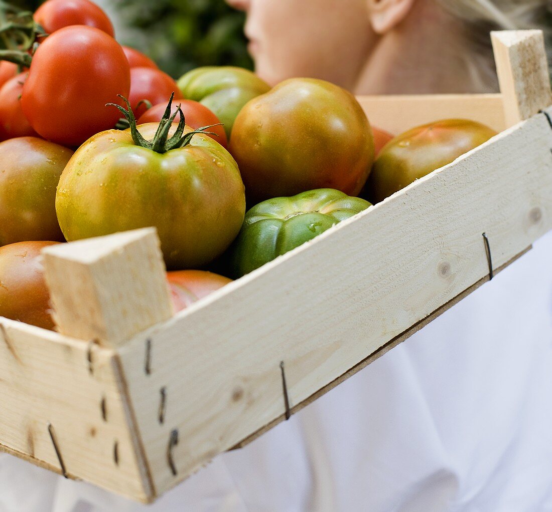 Frau trägt Steige mit Tomaten