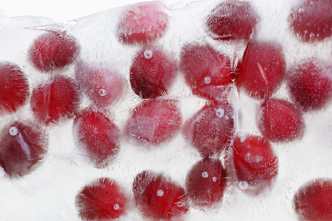 Eingefrorene Cranberries
