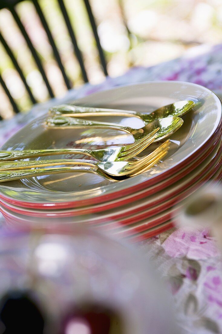 Plates and cutlery on romantic table