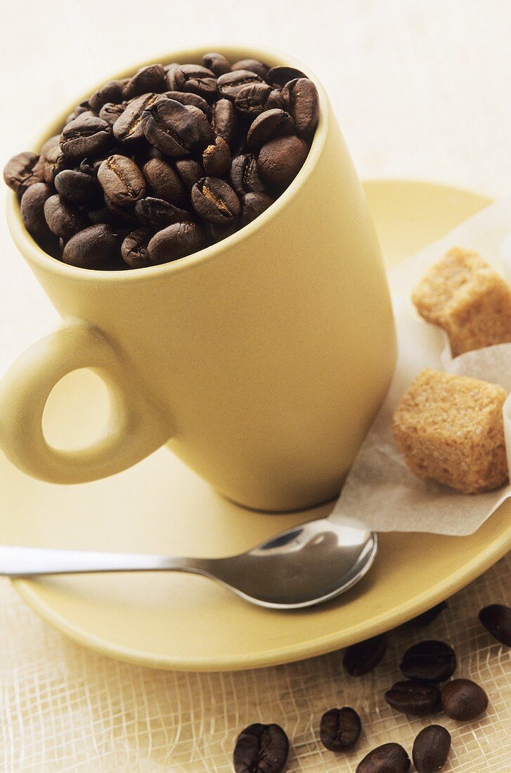 Kaffeebohnen in Tasse, Rohrzuckerwürfel auf Untertasse