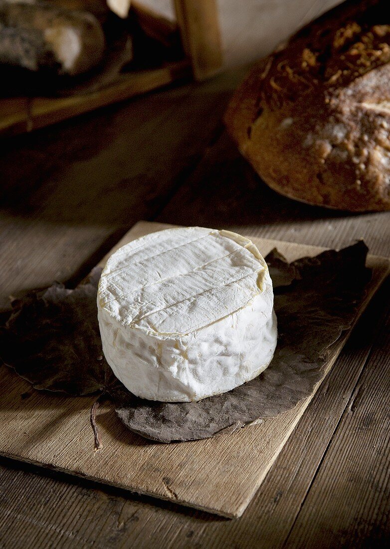 A whole Camembert