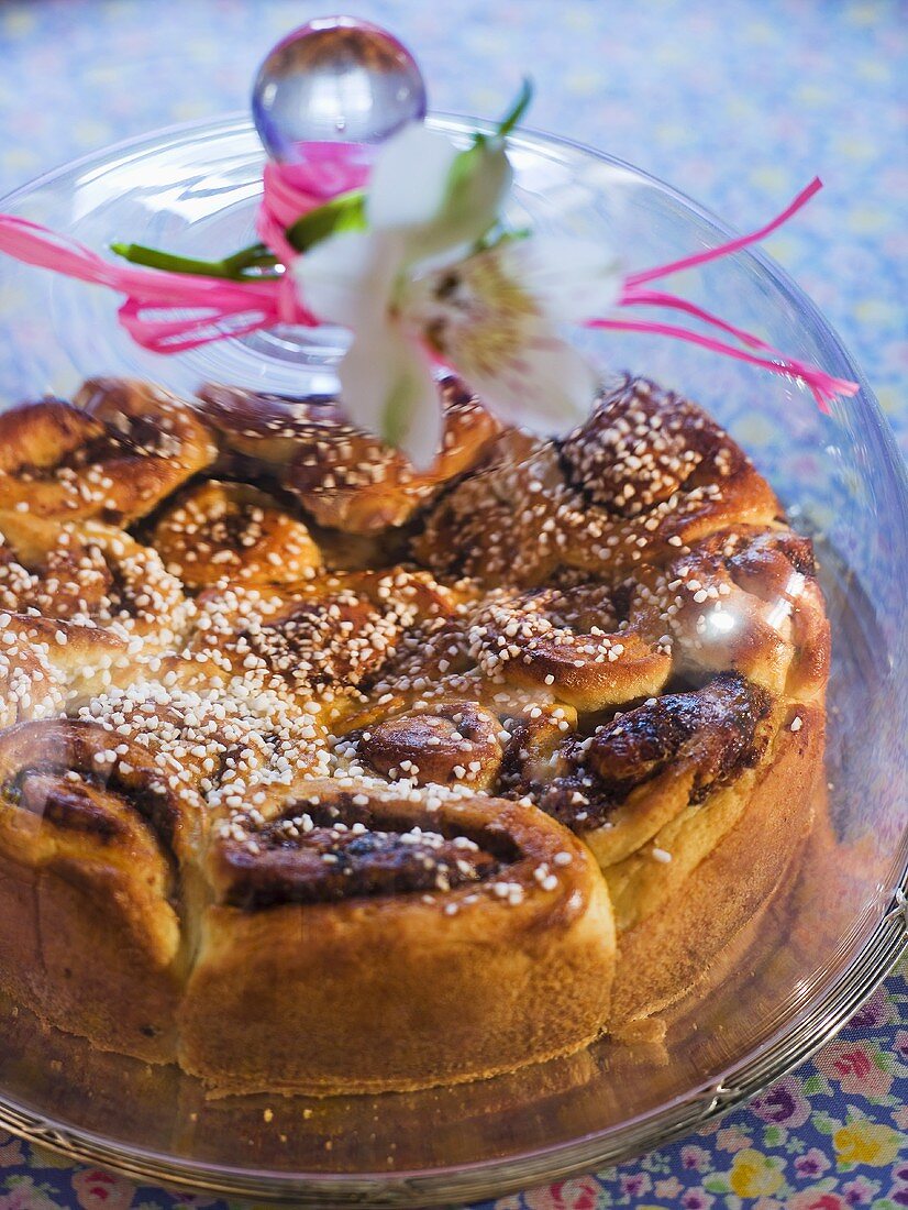 Feigen-Schneckenkuchen mit Hagelzucker unter Glashaube