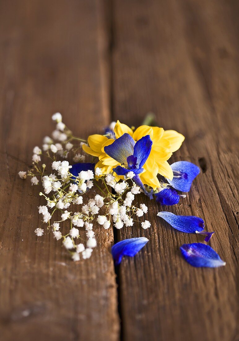 Schleierkraut und Blumen auf Holzbrettern