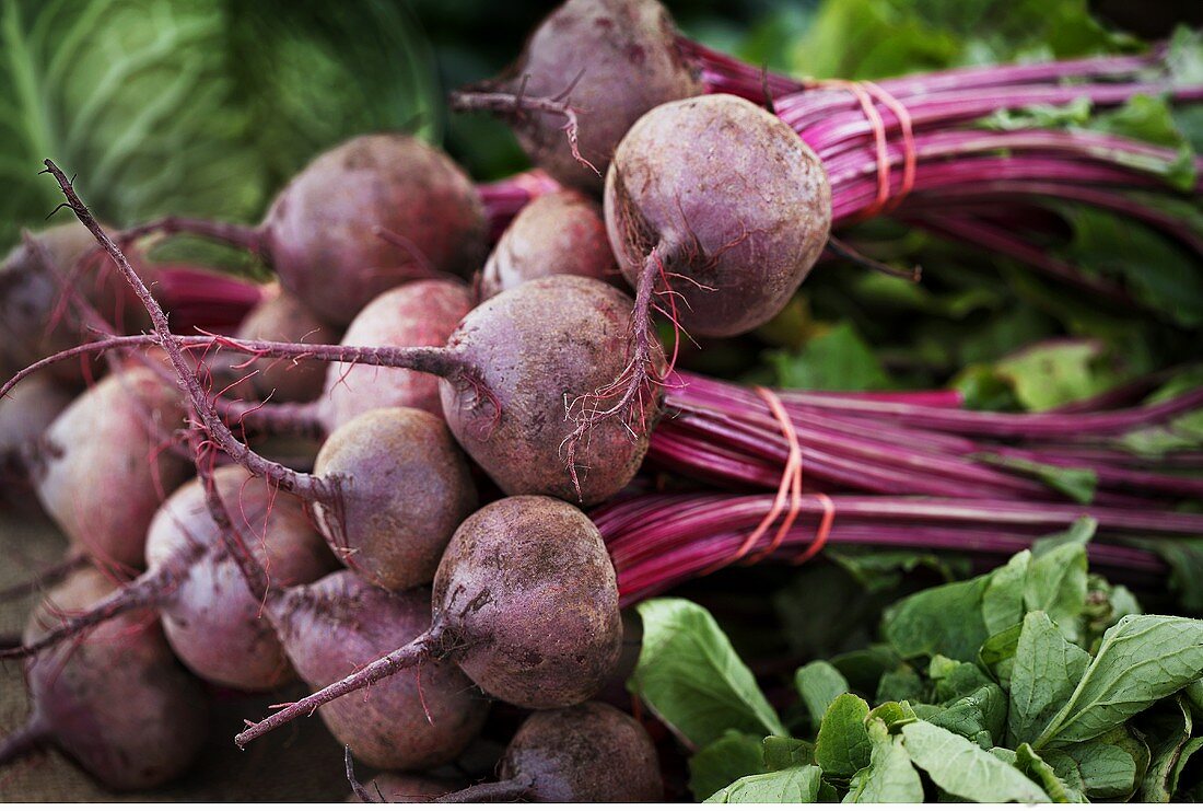Fresh beetroot on a market stall