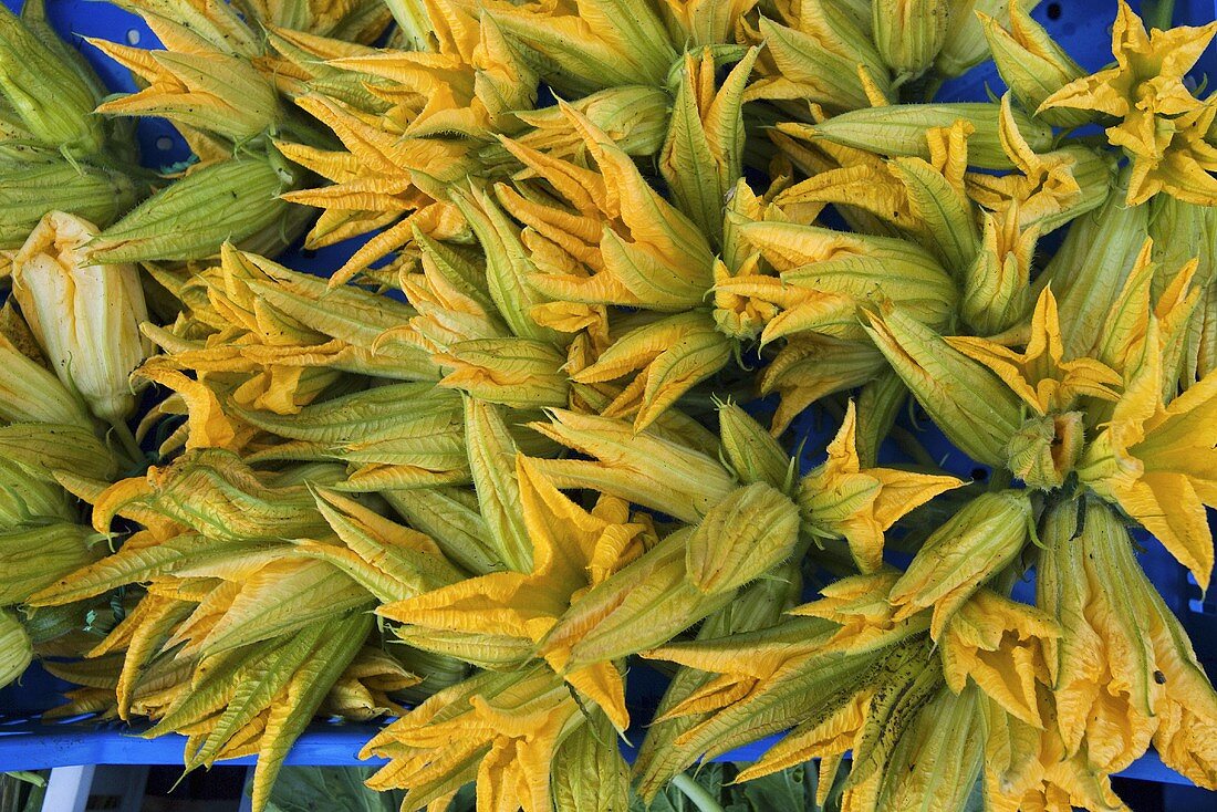 Courgette flowers in crate (overhead view)