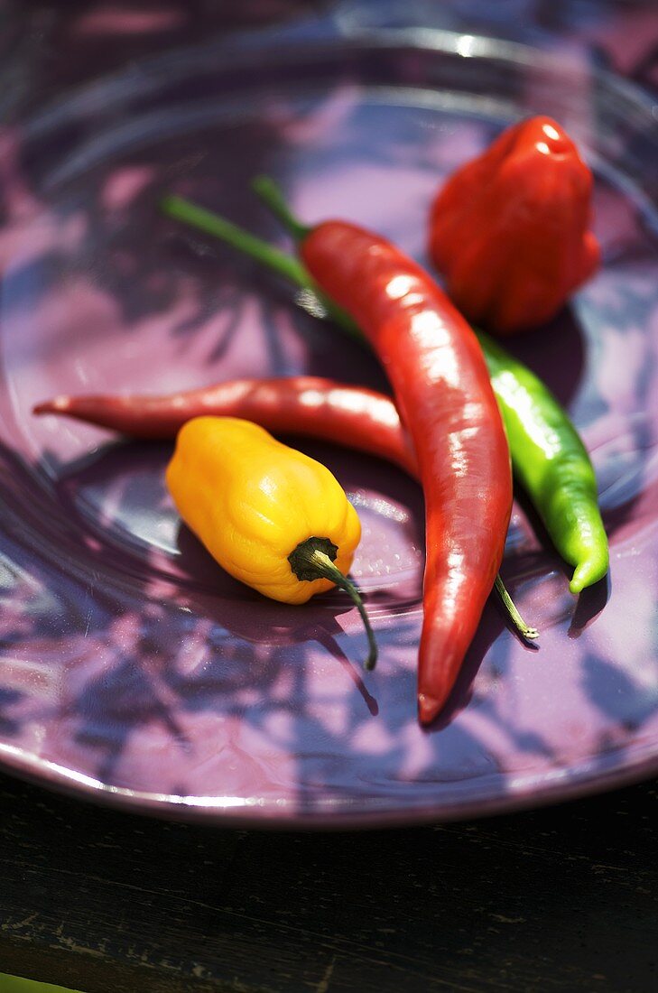 Various chillies