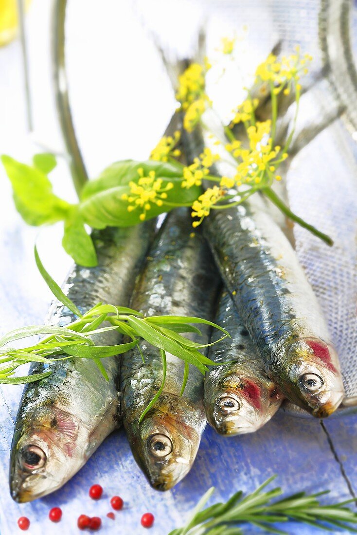 Herrings with herbs