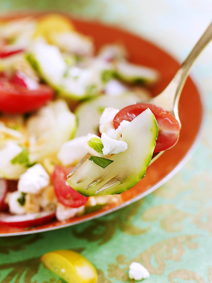 Hirtensalat (Salat mit Gurken, Tomaten, Radieschen und Feta)