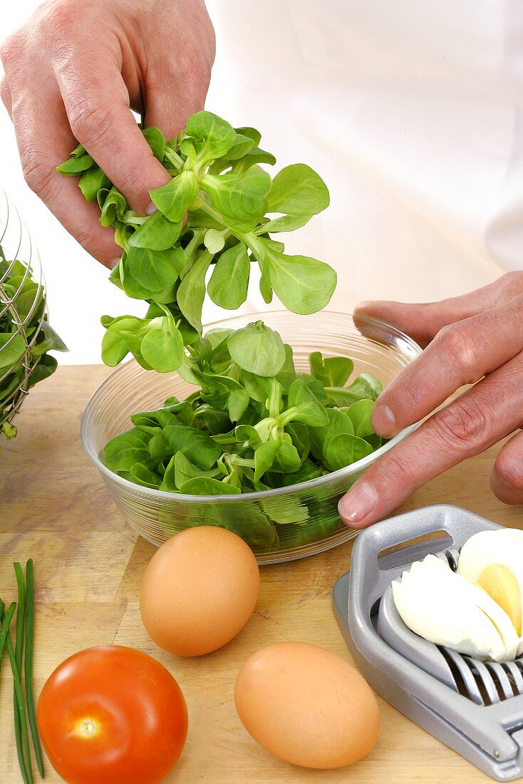 Salad ingredients: corn salad, eggs and tomato