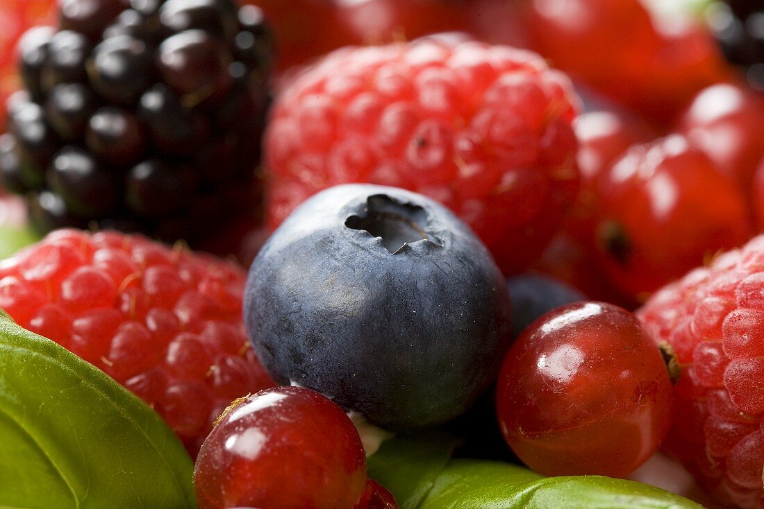 Fresh berries (close-up)