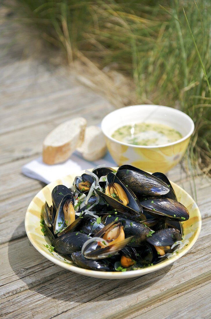 Miesmuscheln in Biersud