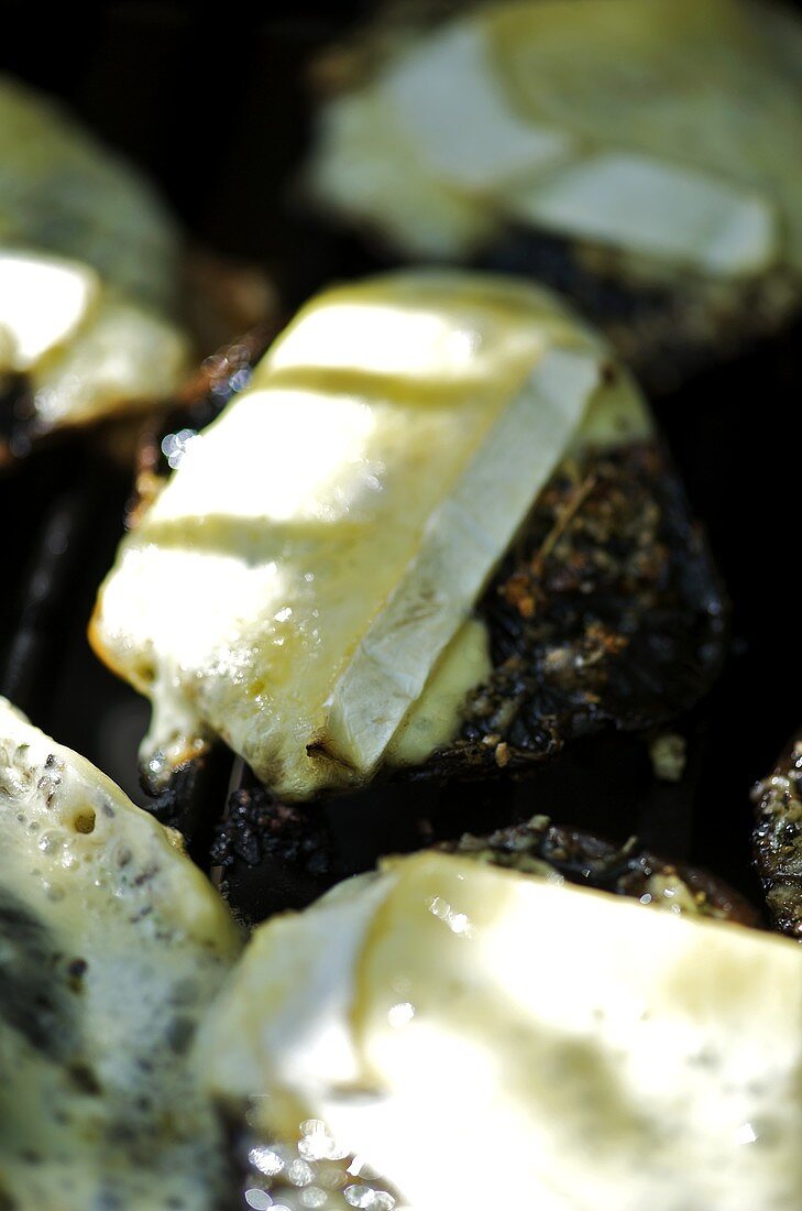 Portobello Pilze mit Brie auf dem Grill