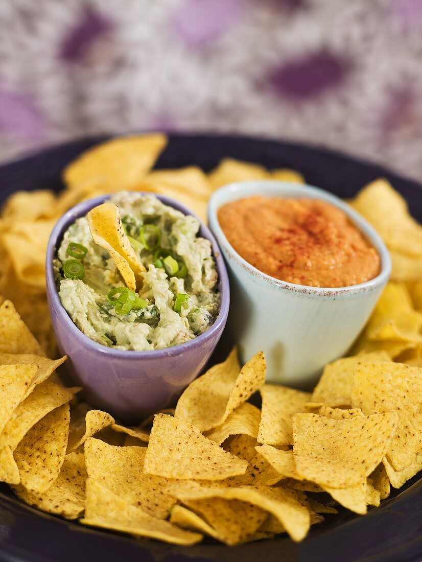 Nachos mit Roquamole und Hummus mit rotem Paprikapulver