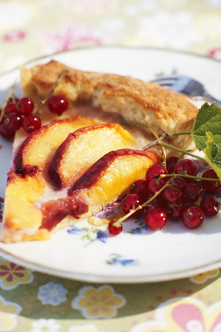 Fried apple slices and redcurrants with fish