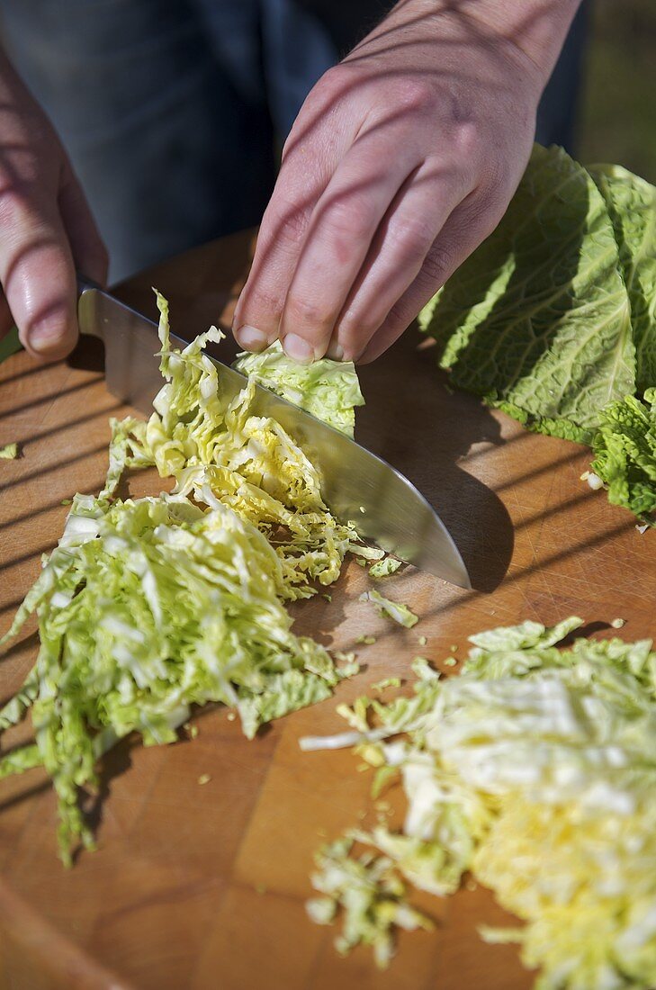 Shredding savoy cabbage