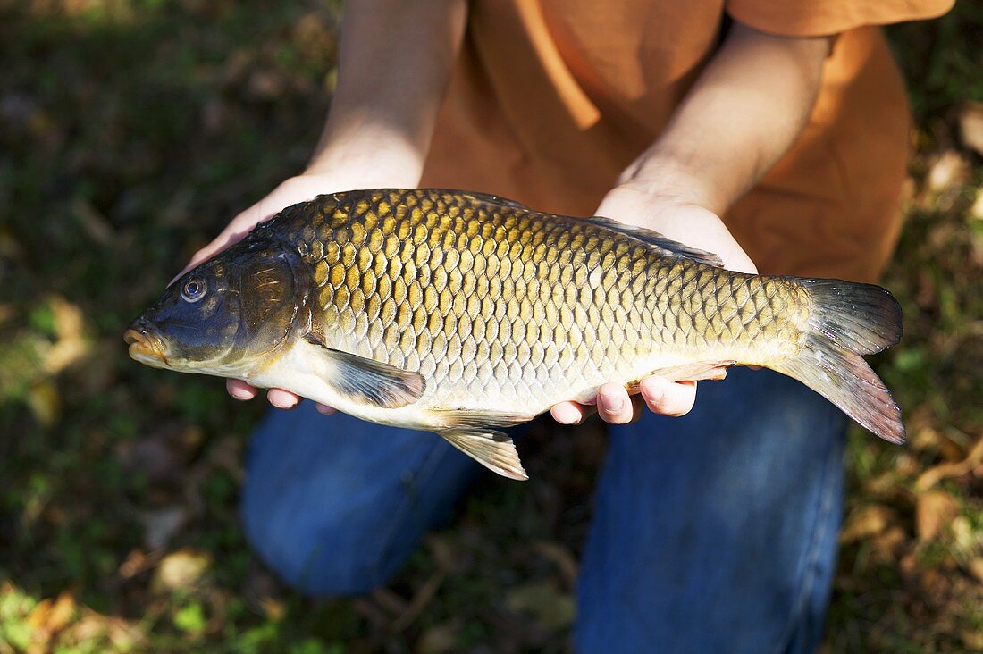 Boy holding a carp