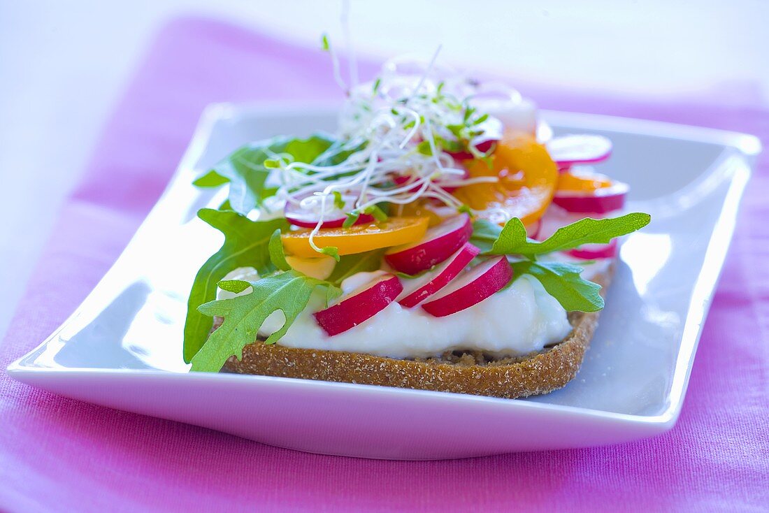 Belegtes Brot mit Sauerrahm, Radieschen, Rucola, Tomaten und Sprossen