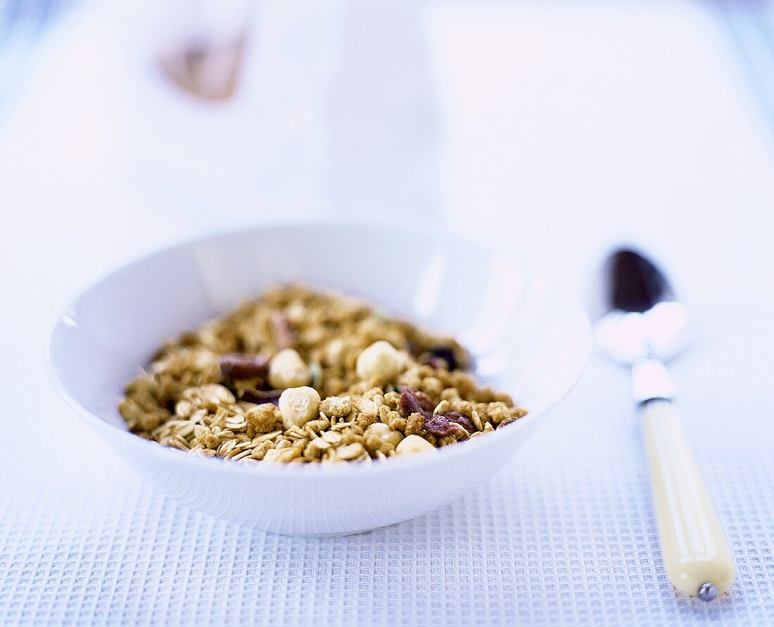 Müsli mit Nüssen und getrockneten Cranberries