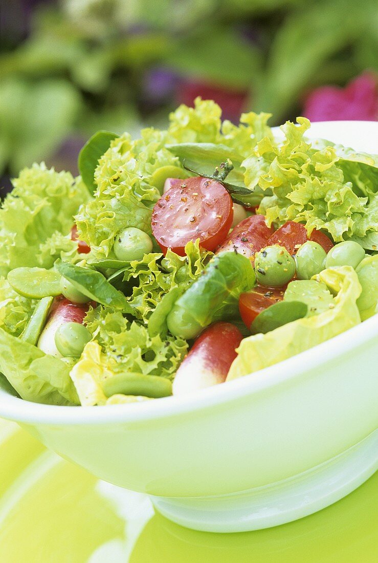 Mixed Green Salad with Tomatoes and Radishes