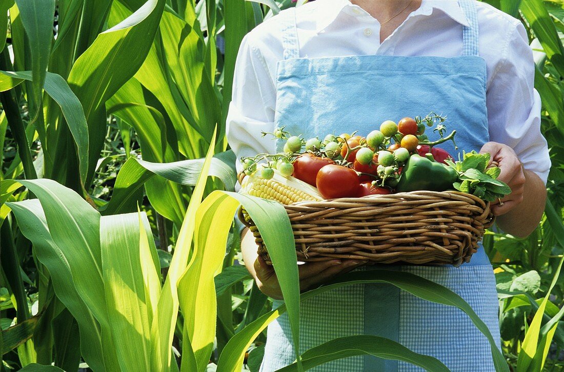 Junge Frau hält Korb mit frischem Gemüse aus dem Garten