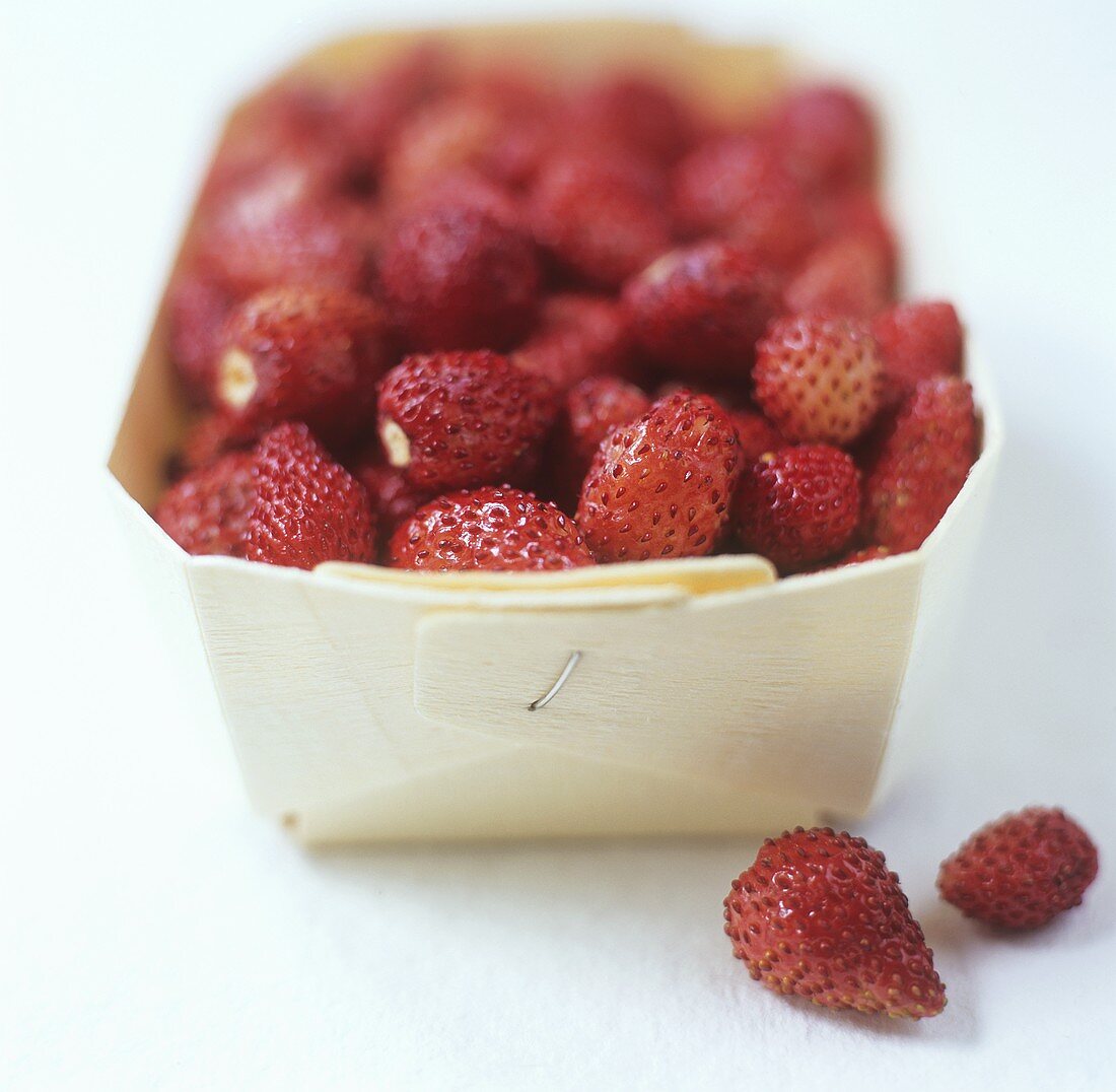 Wild strawberries in woodchip basket