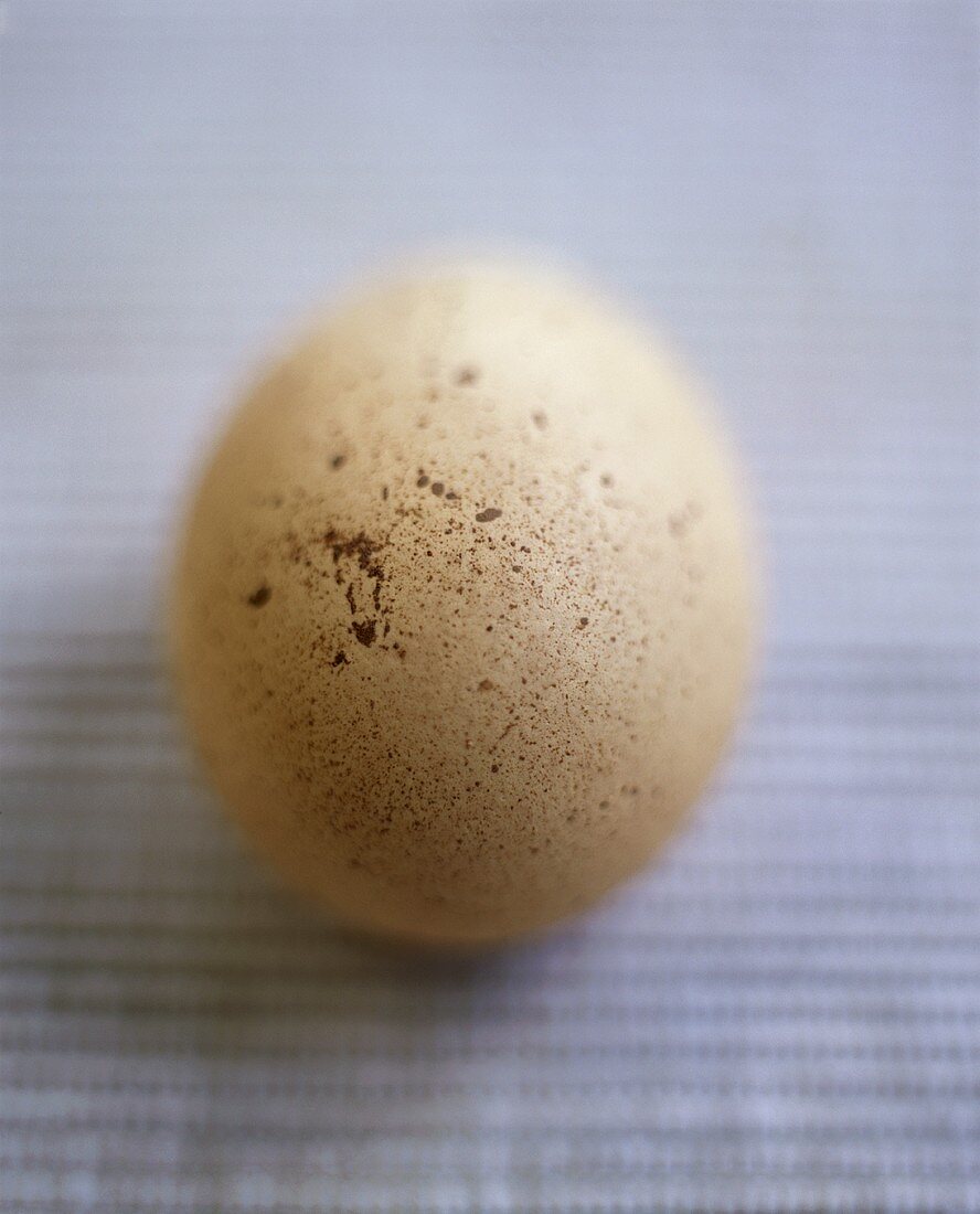 Ein Ei aus Freilandhaltung