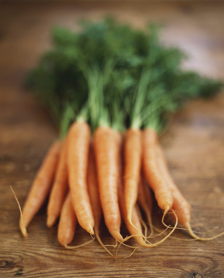 A bunch of carrots with tops