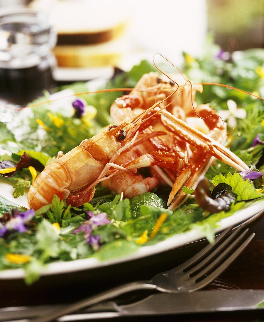 Langoustines on summer salad