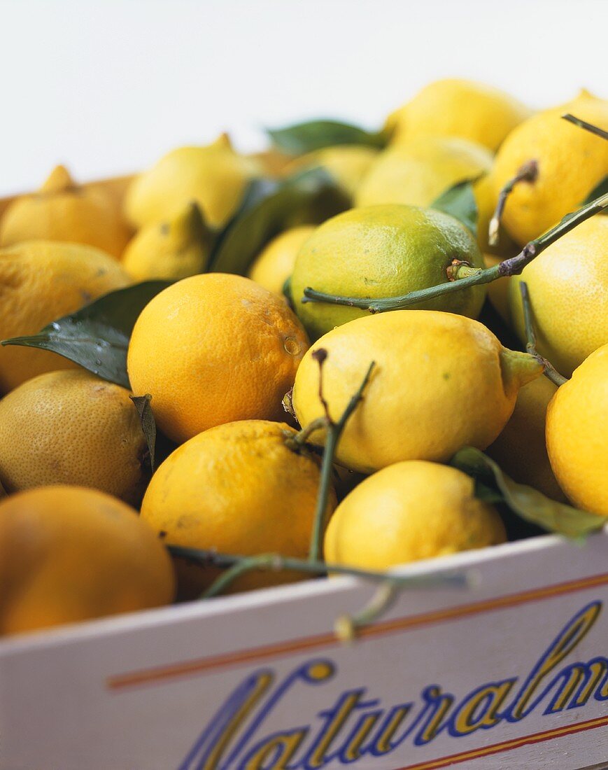 Zitronen in einer Steige