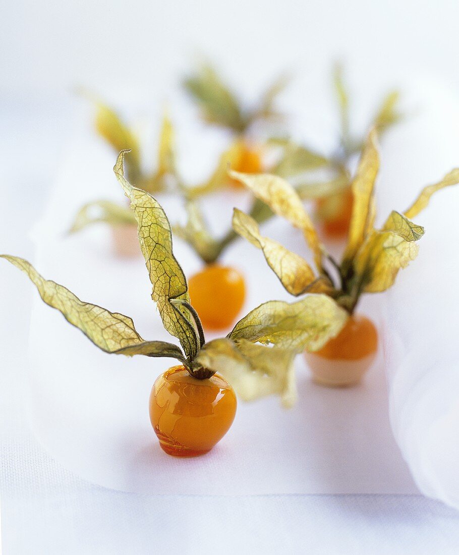 Physalis with sugar glaze and with white chocolate