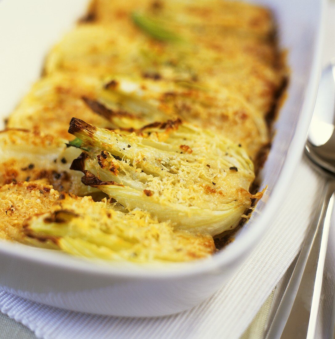 Fenchelgratin