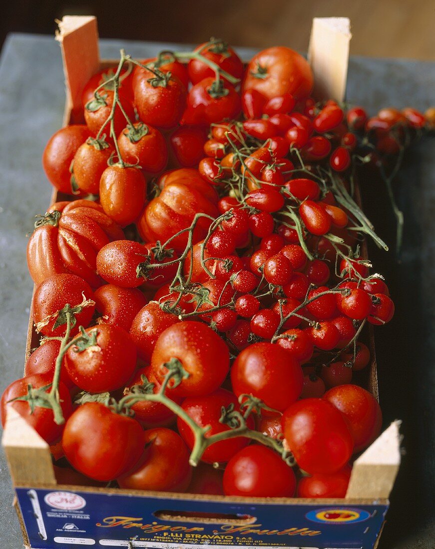 Various types of tomatoes in a crate