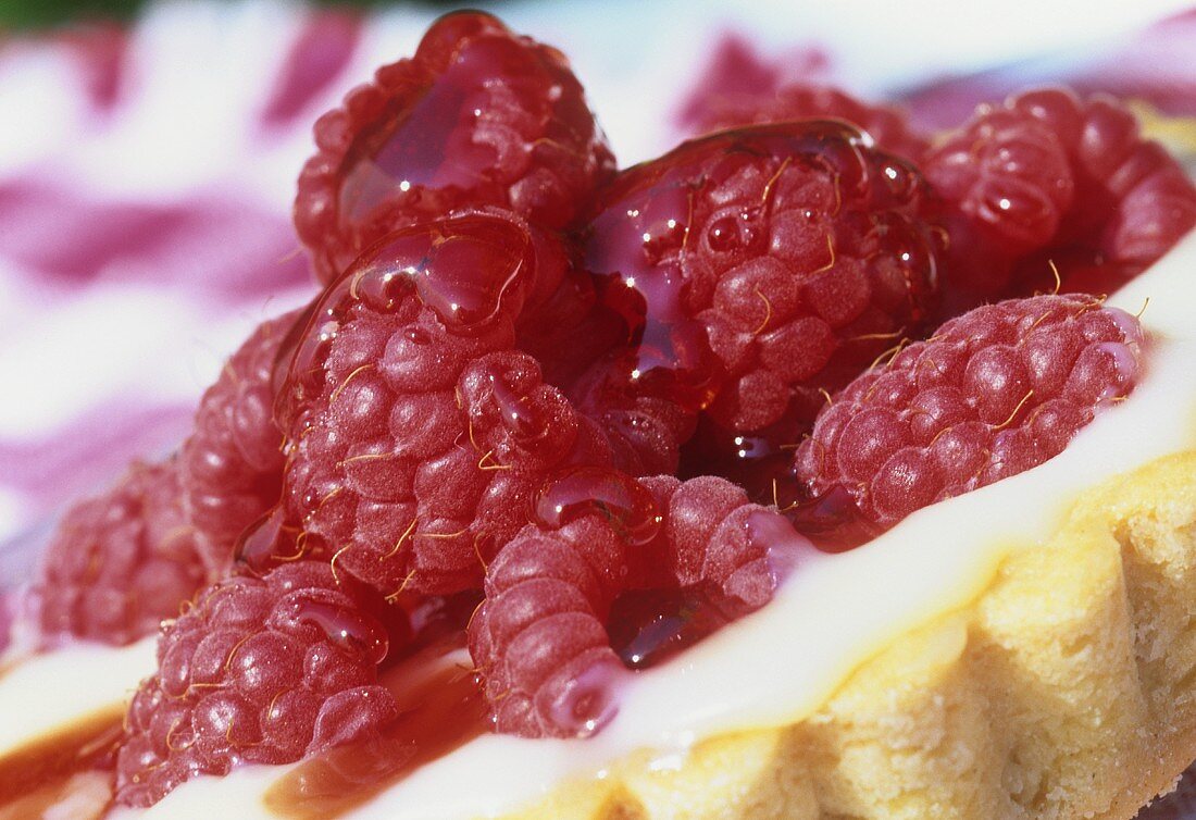 Raspberry tartlet (close-up)