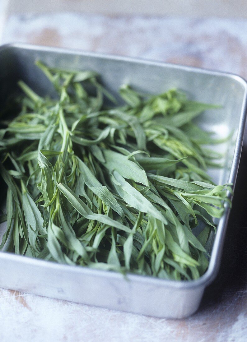 Tarragon