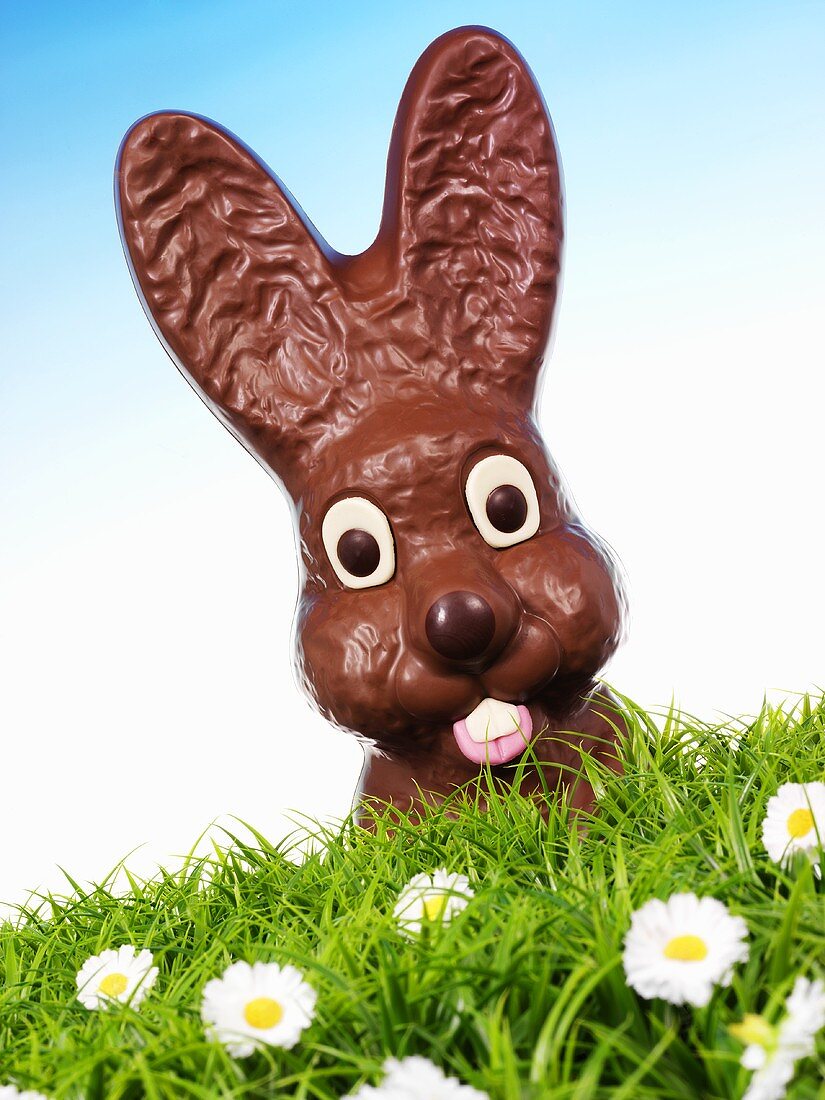 Chocolate Easter Bunny in Easter grass