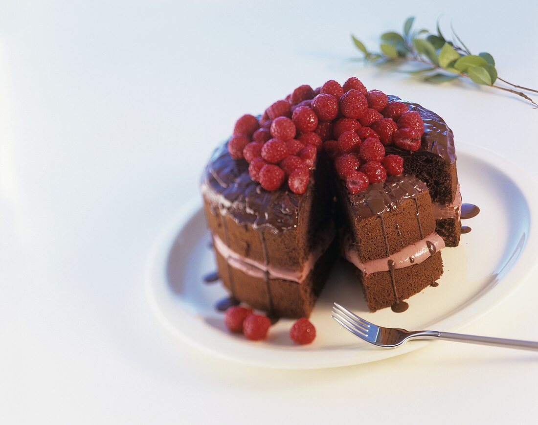 Chocolate cake with raspberry cream and raspberries