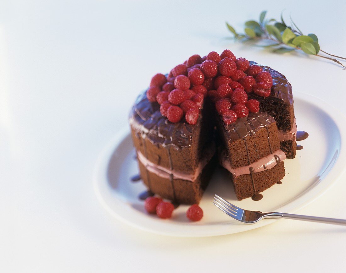 Schokoladentorte mit Himbeercreme und Himbeeren