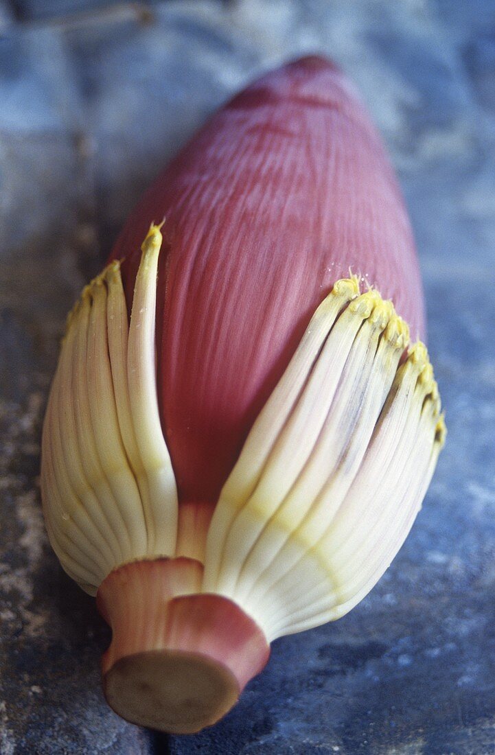 Banana flower